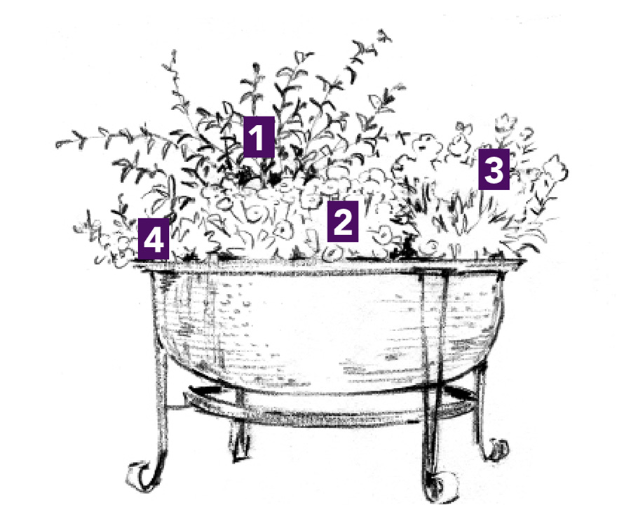 illustration of Take stock of the surroundings spring container